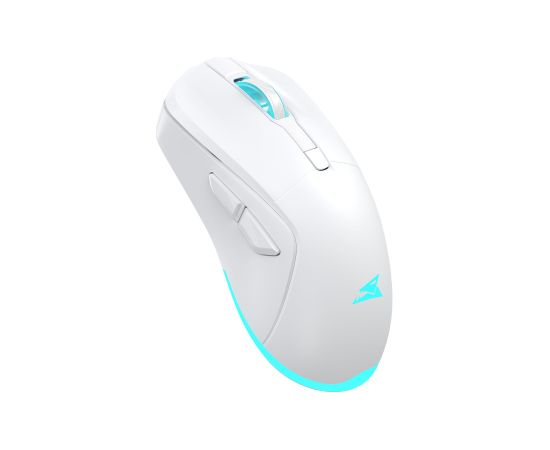 Baracuda BGM-122 Turtle White