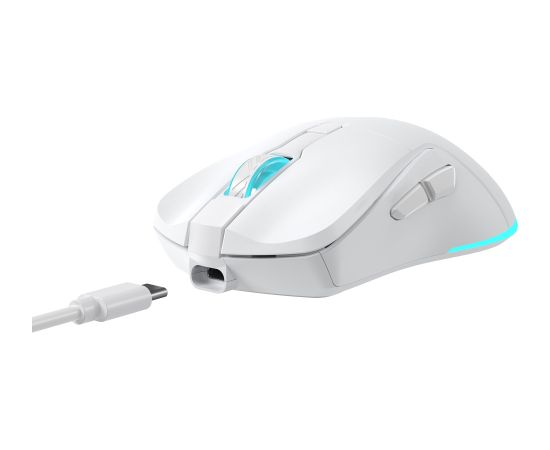 Baracuda BGM-122 Turtle White