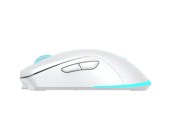 Baracuda BGM-122 Turtle White