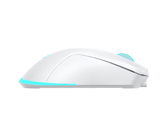 Baracuda BGM-122 Turtle White