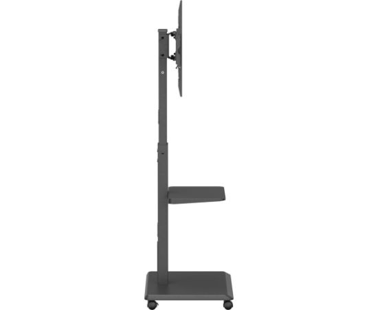 Ergo Office Stand / cart for TV Ergo-Office, max. load 50kg / 5kg shelf, max. VESA 600x400, built-in power strip, black, ER-304 B Крепления для телевизоров