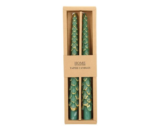 Antique candle CAROLS 2pcs 25cm green spruce