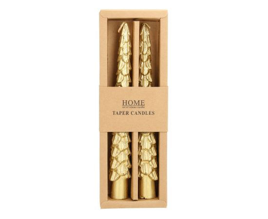 Antique candle CAROLS 2pcs 20cm golden spruce