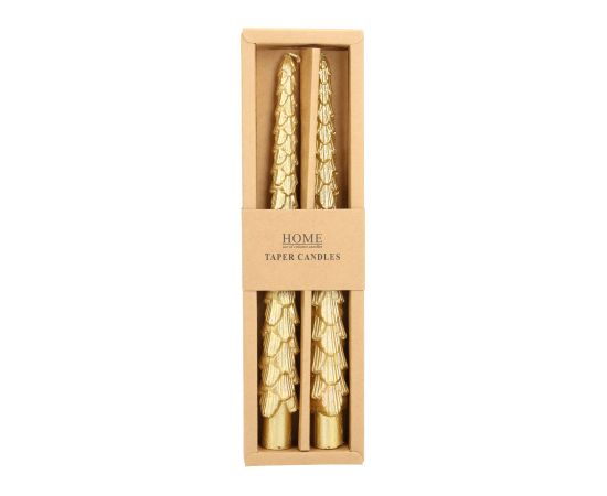 Antique candle CAROLS 2pcs 25cm golden spruce