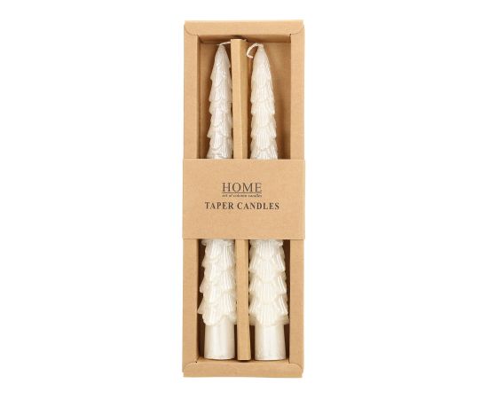 Antique candle CAROLS 2pcs 20cm white spruce