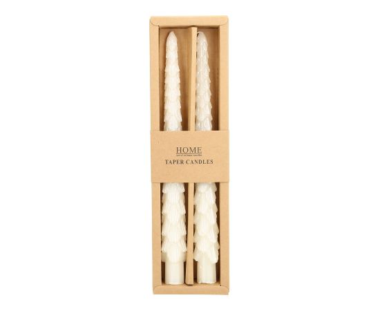 Antique candle CAROLS 2pcs 25cm white spruce