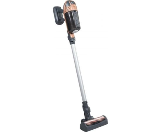 Smoby Odkurzacz rowenta x force flex Interaktīvās rotaļlietas