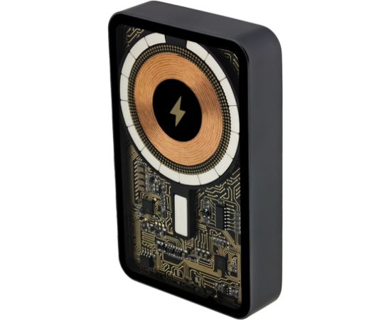 PATONA 9992 power bank Lithium Polymer (LiPo) 10000 mAh Black