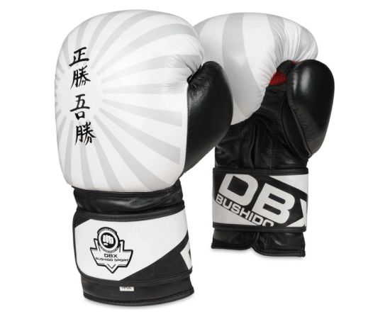 10oz boksa cimdi - Japāna - Valor sērija - 14 oz Boksa inventārs