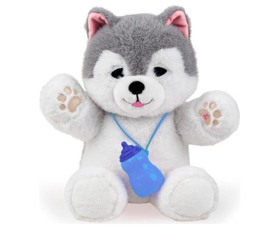 Dumel Piesek Husky