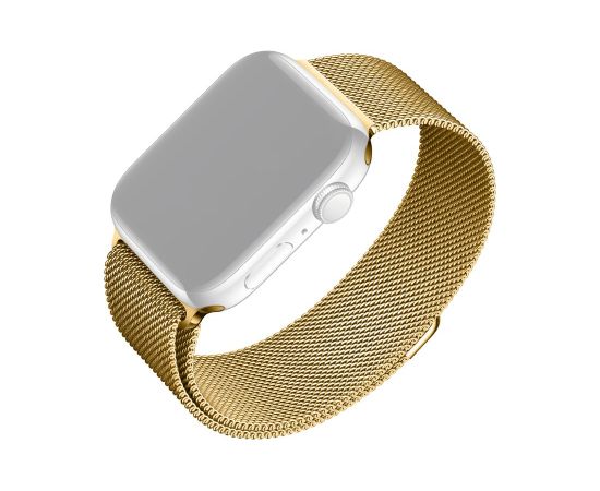 Fixed Mesh Strap for Apple Watch 38/40/41mm Gold Smart-Watch aksesuāri
