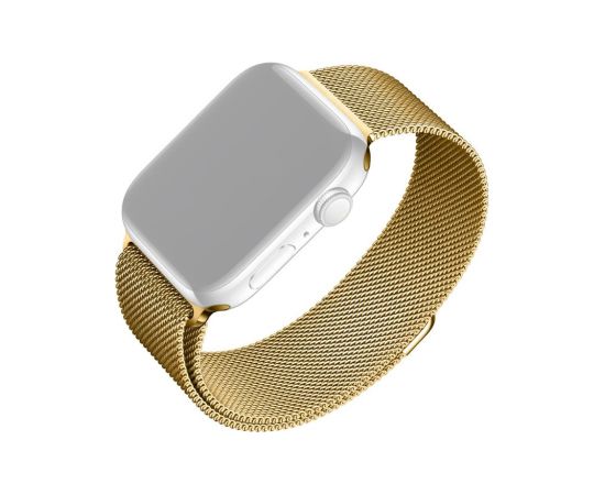 Fixed Mesh Strap for Apple Watch 42/44/45/46/49mm Gold Smart pūlksteņu aksesuāri