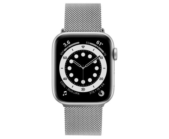Fixed Mesh Strap for Apple Watch 38/40/41mm Silver Smart-Watch aksesuāri