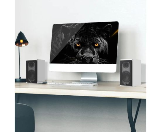 Laudberg XS1W bookshelf speakers 2.0 80W white