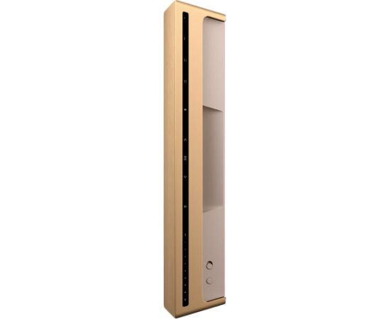 Bang & Olufsen Beosound Level Speaker Gold Tone Alu (Cover Light Oak) Акустические системы , колонки