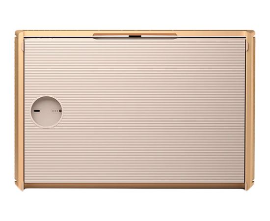 Bang & Olufsen Beosound Level Speaker Gold Tone Alu (Cover Light Oak) Акустические системы , колонки