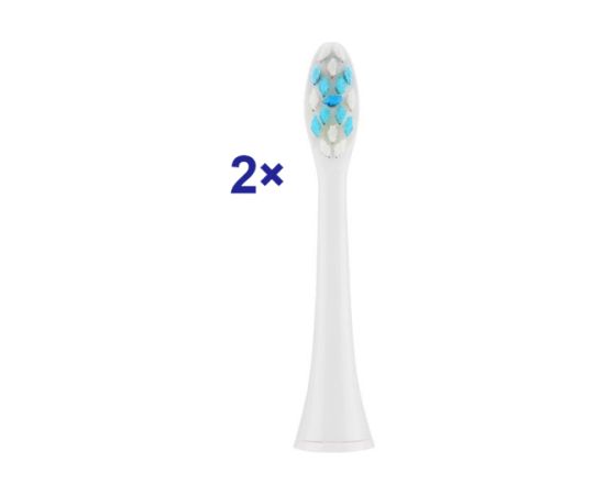 ETA Toothbrush replacement SoftClean ETA070790300 Heads For adults Number of brush heads included 2 Number of teeth brushing modes Does not apply White