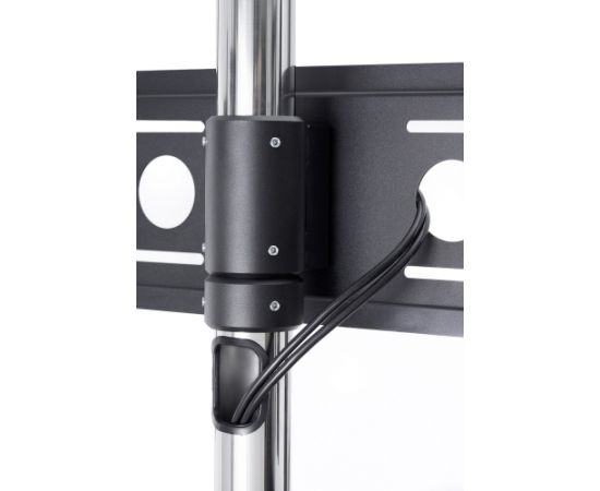 EDBAK STD01c-B Trolleys & Stands 40-75 " Maximum weight (capacity) 80 kg Black TV un monitoru stiprinājumi, kronšteini