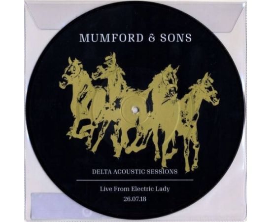 DELTA ACOUSTIC SESSIONS/ LIVE FROM ELECTRIC LADY LP (RSD) DJ tehnika