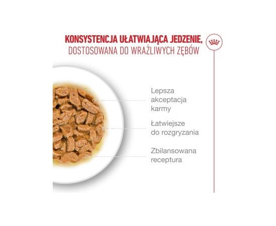 ROYAL CANIN FHN Cat Ageing 11+ Gravy 12x85g Консервы кошек