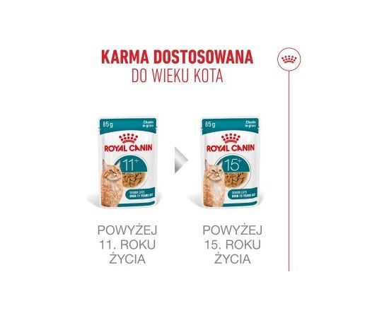 ROYAL CANIN FHN Cat Ageing 11+ Gravy 12x85g Консервы кошек