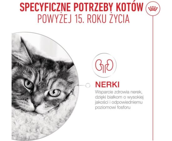 ROYAL CANIN FHN Cat Ageing 15+ 4kg Сухой корм для кошек