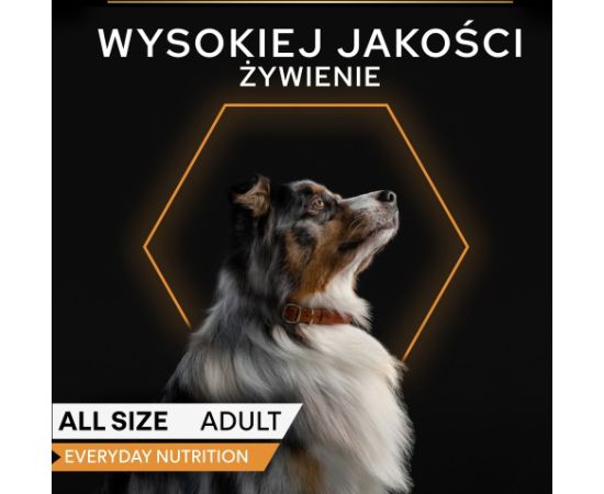 PURINA Pro Plan Everyday nutrition All size Adult Turkey in jelly - wet dog food - 400g Suņu barība