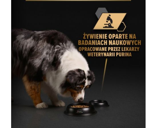 PURINA Pro Plan Everyday nutrition All size Adult Turkey in jelly - wet dog food - 400g Suņu barība