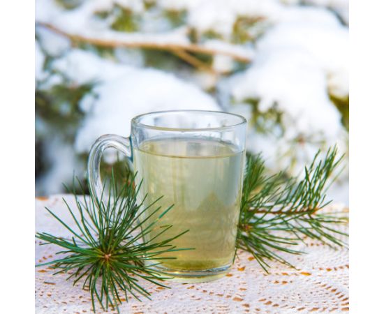 Kafijas un tējas glāzes Springos HA7497  6 gab., ar rokturi latte Glāzes un karafes