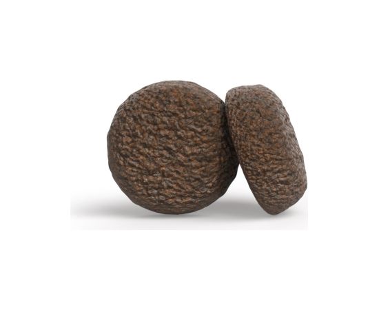 JOSERA YoungStar - dry dog food - 12,5kg Suņu barība