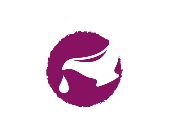 JOSERA Mini Salmon & Chicken - dry dog food - 10kg Suņu barība