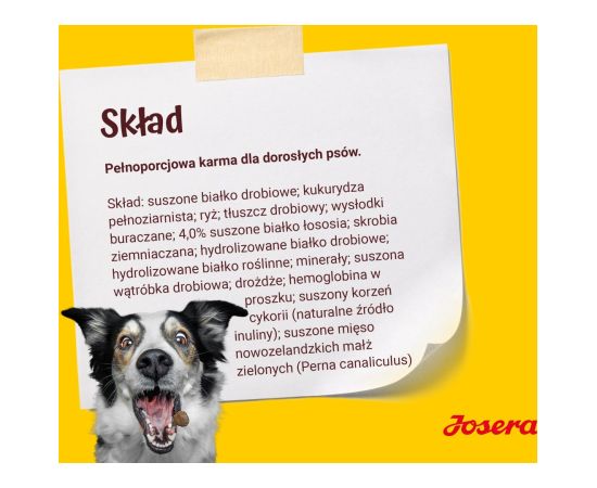 JOSERA Adult Festival - dry dog food - 12,5 kg Suņu barība