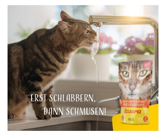 JOSERA Chicken soup with carrots and spinach - wet cat food - 70 g Консервы кошек