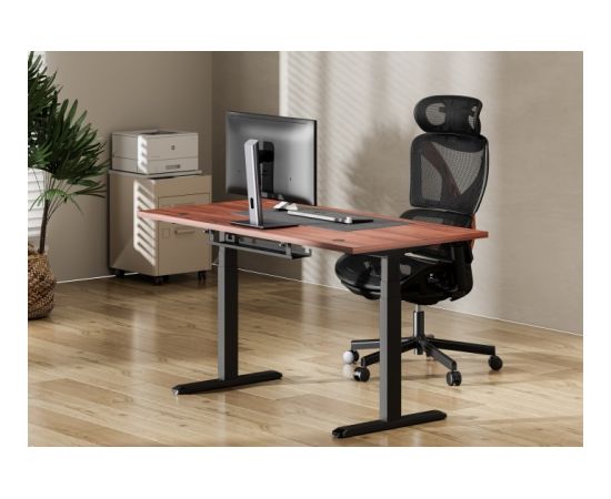 Adjustable Height Table Up Up Thor Black, Table top M Dark Walnut Biroja galdi