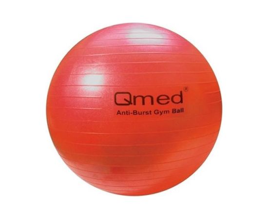 MDH ABS rehabilitation ball with pump 55cm Jaunumi - Sports