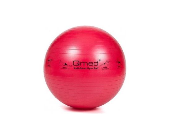 MDH ABS rehabilitation ball with pump 55cm Jaunumi - Sports