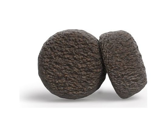 JOSERA Adult Festival Salmon & Chicken - dry dog food - 900g Suņu barība