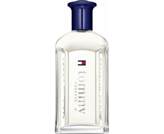 Perfumy Męskie Tommy Hilfiger TOMMY FOREVER EDT 100 ml Мужская парфюмерия