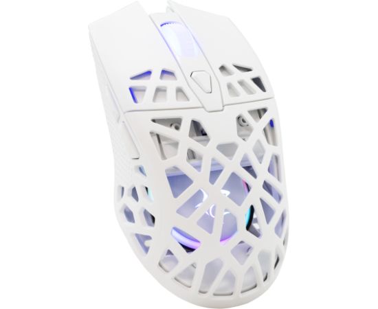 White Shark GM-5018 Caradoc RGB/7200 dpi White Мыши