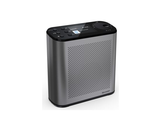 Sharp OSAKA Portable Digital Radio DR-P530(GY) USB port Bluetooth FM radio Wireless connection Aудио-видео