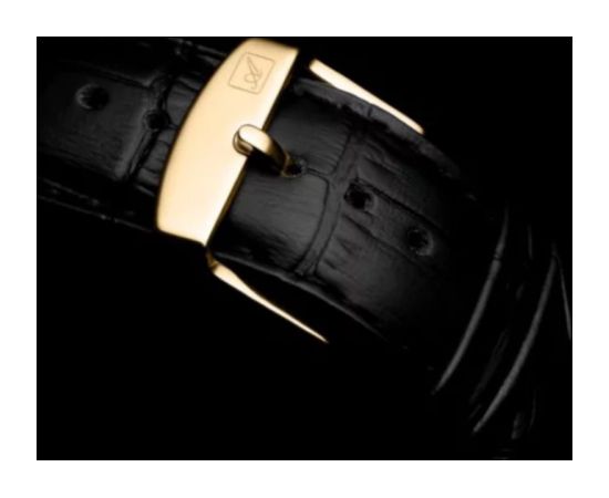 Adriatica A1113.1223Q Наручные часы