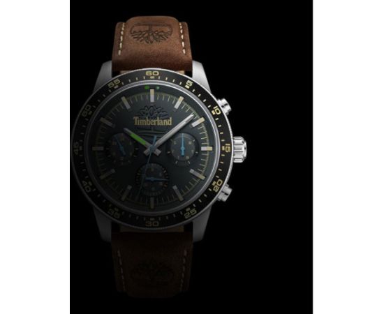 Timberland Parkmanh TDWGF0041301 Наручные часы