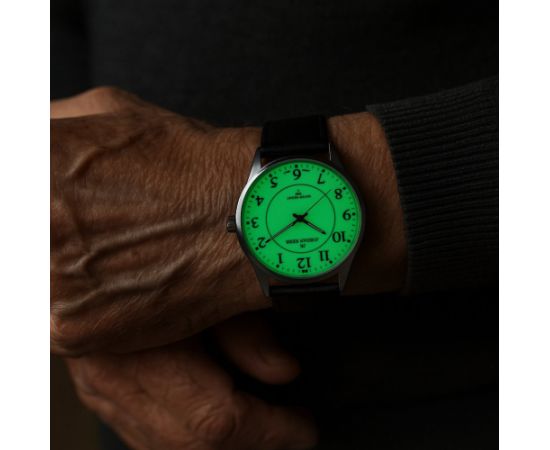 JORDAN KERR LG004-02 IPS STANDARD Наручные часы