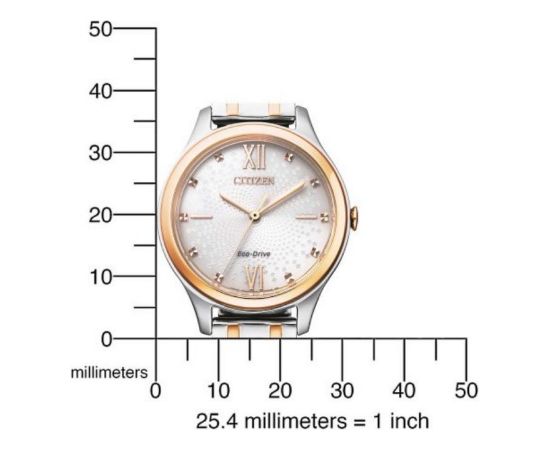 Citizen Eco-Drive EM0506-77A Наручные часы