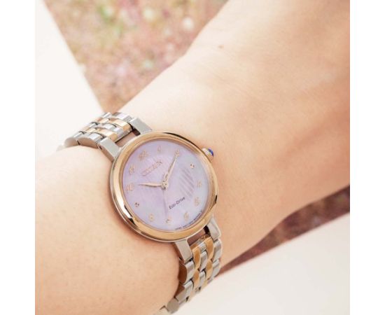 Citizen Eco-Drive EM0996-84Y Наручные часы