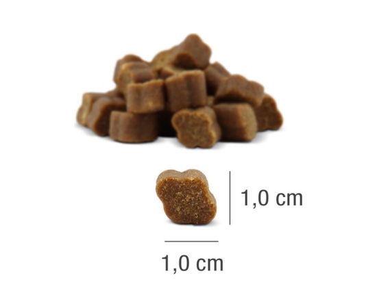 PLATINUM Fit-Bits Protect - dog treat - 150g Suņu barība