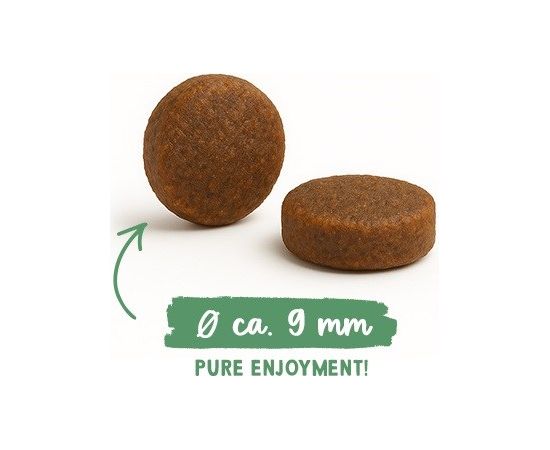 BOSCH Sanabelle Sensitive with chicken - dry cat food - 2kg Сухой корм для кошек