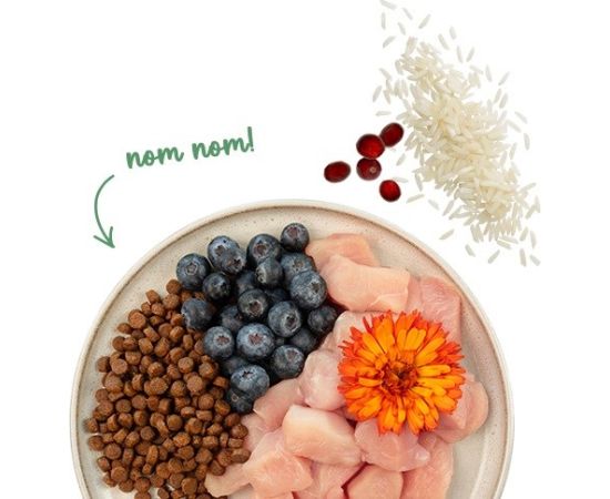 BOSCH Sanabelle Sensitive with chicken - dry cat food - 2kg Сухой корм для кошек