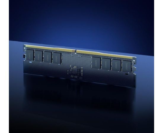 MEMORY DIMM 16GB DDR5-5600/LD5U16G56C46ST-BGS LEXAR Оперативная память (RAM)
