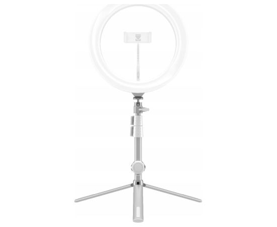 Kodak LED gredzenveida gaisma 10" RL001 + statīvs Новинки Компьютерная техника